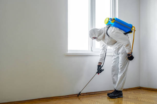 Best Indoor Pest Control  in Clifton, AZ